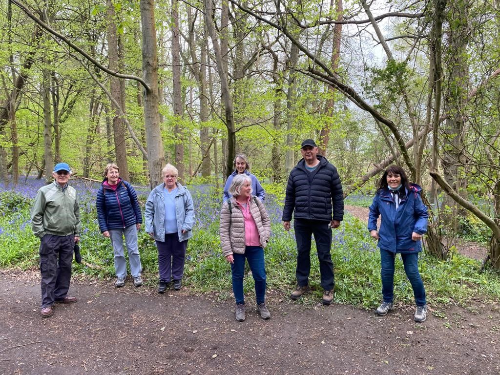 Walkers and bluebells
